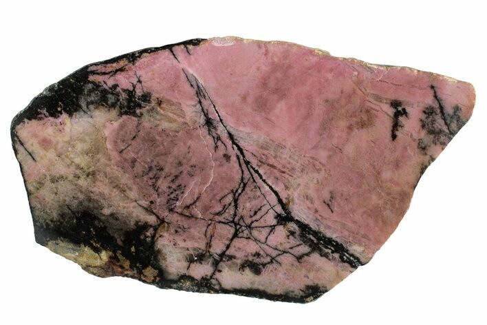 Polished Rhodonite Slab - Australia #279772